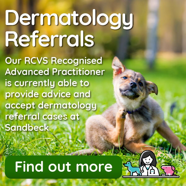 Dermatology Referrals